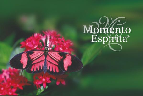 Momento Esp&iacute;rita